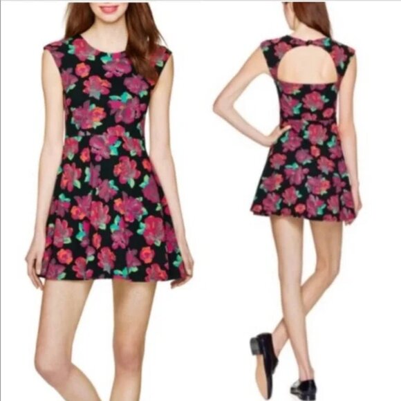 Talula Aritzia Palmetto Mini Skater Dress - Floral - Size M - Picture 1 of 5
